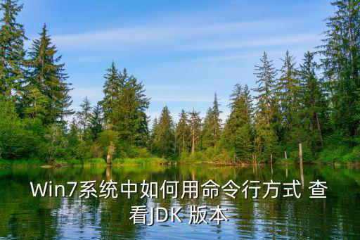 Win7系統中如何用命令行方式 查看JDK 版本
