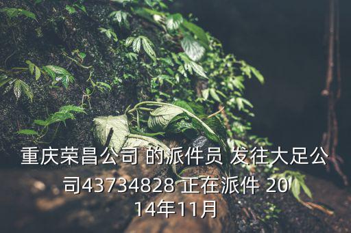 重慶榮昌公司 的派件員 發往大足公司43734828 正在派件 2014年11月