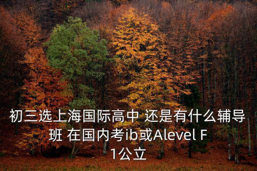 初三選上海國際高中 還是有什么輔導班 在國內考ib或Alevel F1公立