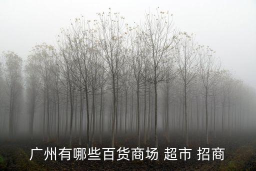 廣州有哪些百貨商場 超市 招商