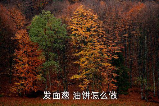  發面蔥 油餅怎么做