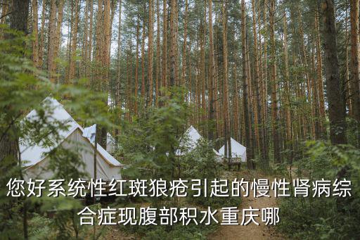 您好系統(tǒng)性紅斑狼瘡引起的慢性腎病綜合癥現(xiàn)腹部積水重慶哪