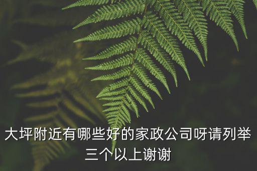 大坪附近有哪些好的家政公司呀請(qǐng)列舉三個(gè)以上謝謝