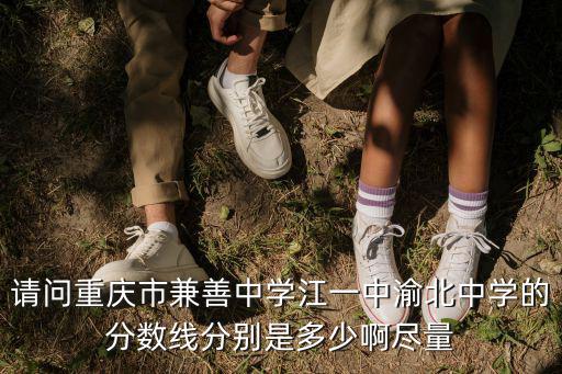 請問重慶市兼善中學江一中渝北中學的分數線分別是多少啊盡量