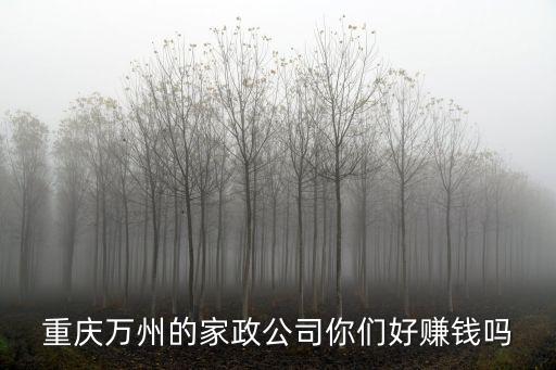 重慶萬(wàn)州的家政公司你們好賺錢(qián)嗎