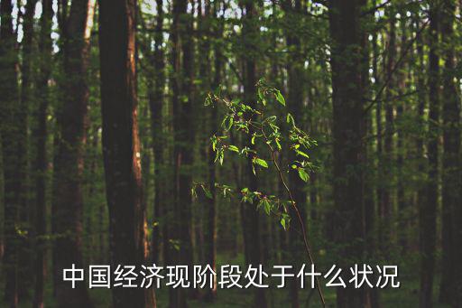 中國(guó)經(jīng)濟(jì)現(xiàn)階段處于什么狀況