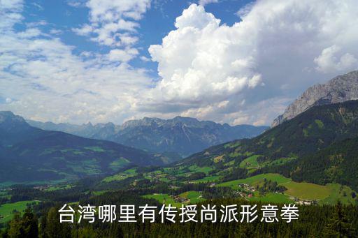 臺灣哪里有傳授尚派形意拳