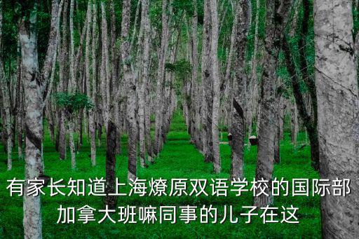 有家長知道上海燎原雙語學校的國際部加拿大班嘛同事的兒子在這