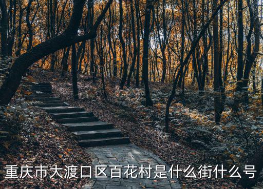 重慶市大渡口區百花村是什么街什么號