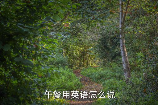  午餐用英語怎么說