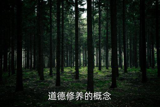 道德修養(yǎng)的概念