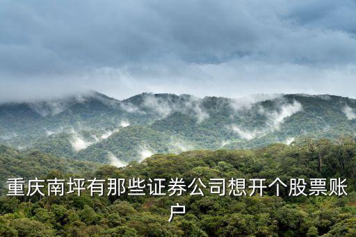重慶南坪有那些證券公司想開個(gè)股票賬戶