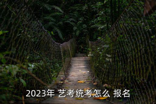 藝考報(bào)名,藝考-1/:報(bào)名條件/流程
