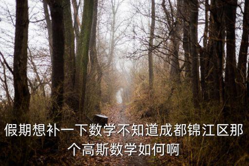 假期想補(bǔ)一下數(shù)學(xué)不知道成都錦江區(qū)那個(gè)高斯數(shù)學(xué)如何啊