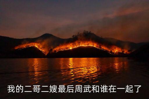 我的二哥二嫂最后周武和誰在一起了