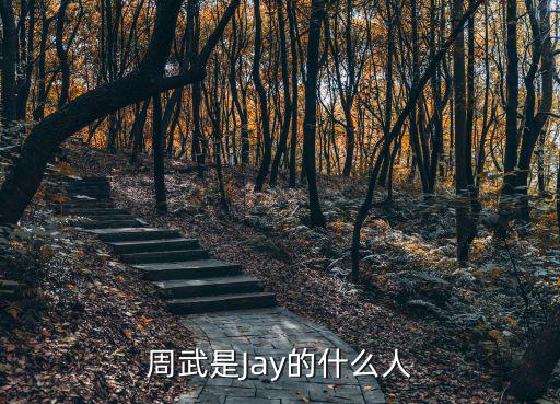 周武是Jay的什么人