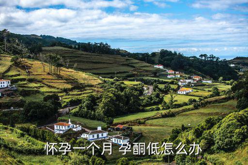 懷孕一個(gè)月 孕酮低怎么辦