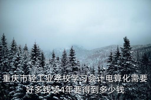 重慶市輕工業(yè)學(xué)校學(xué)習(xí)會(huì)計(jì)電算化需要好多錢讀4年要得到多少錢