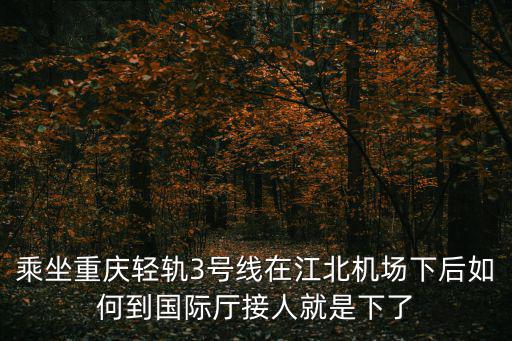 乘坐重慶輕軌3號線在江北機(jī)場下后如何到國際廳接人就是下了