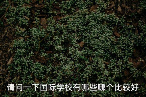 請問一下國際學校有哪些哪個比較好