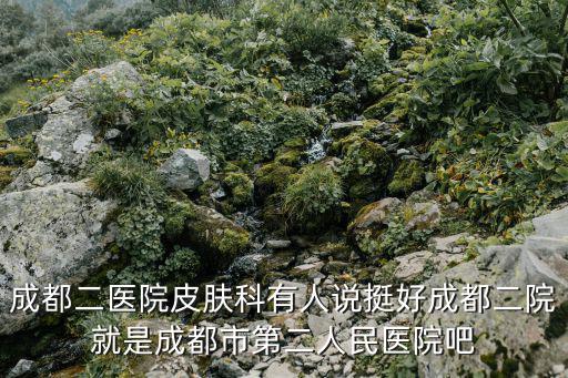 成都二醫(yī)院皮膚科有人說挺好成都二院就是成都市第二人民醫(yī)院吧