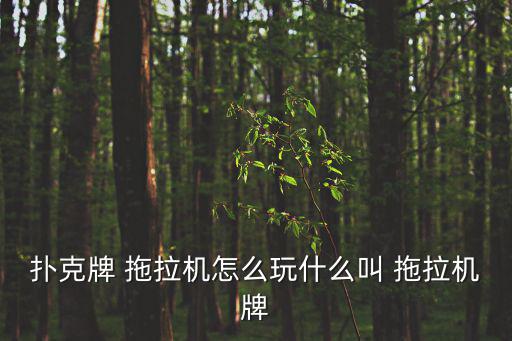 拖拉機(jī)規(guī)則,撲克牌規(guī)則:三張牌組成拖拉機(jī)