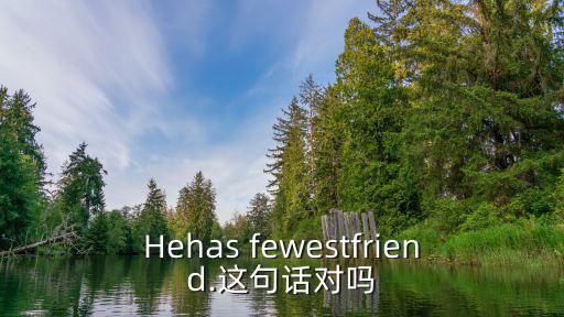 Hehas fewestfriend.這句話對嗎