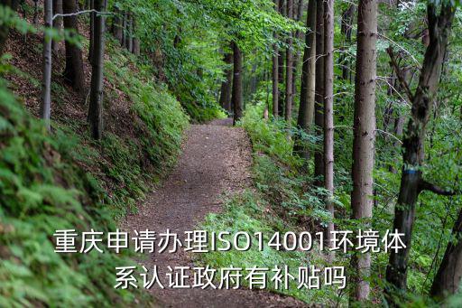 重慶申請辦理ISO14001環(huán)境體系認(rèn)證政府有補(bǔ)貼嗎