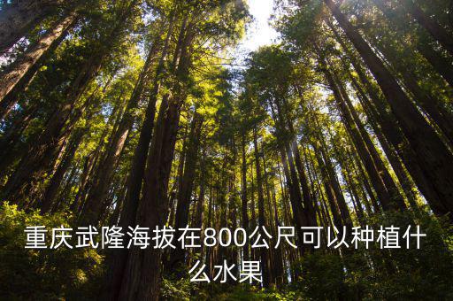 重慶武隆海拔在800公尺可以種植什么水果