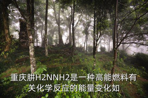 重慶肼H2NNH2是一種高能燃料有關化學反應的能量變化如