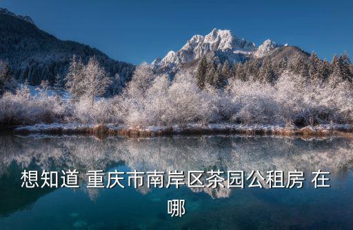 重慶市秦氏家人，重慶牛皮癬醫(yī)院是不是重慶迪邦醫(yī)院是不是重慶迪邦皮膚病醫(yī)院