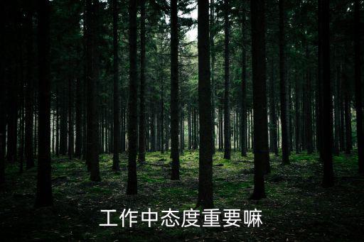 工作中態(tài)度重要嘛