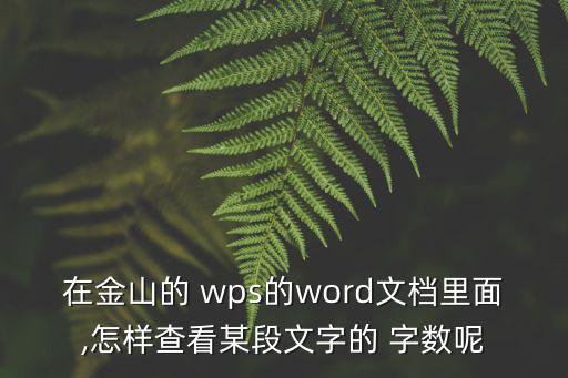 在金山的 wps的word文檔里面,怎樣查看某段文字的 字?jǐn)?shù)呢