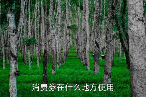 消費(fèi)劵在什么地方使用