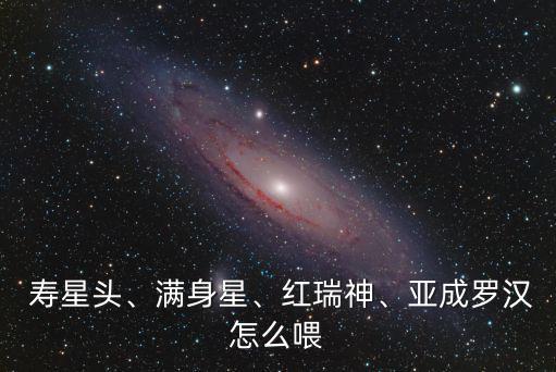  壽星頭、滿身星、紅瑞神、亞成羅漢怎么喂