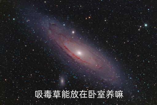吸毒草,一周一次修剪毒株草可放入臥室