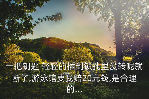 一把鑰匙 輕輕的插到鎖孔里沒轉呢就斷了,游泳館要我賠20元錢,是合理的...