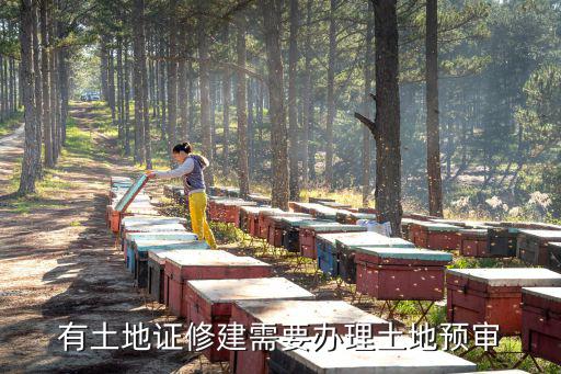 有土地證修建需要辦理土地預審