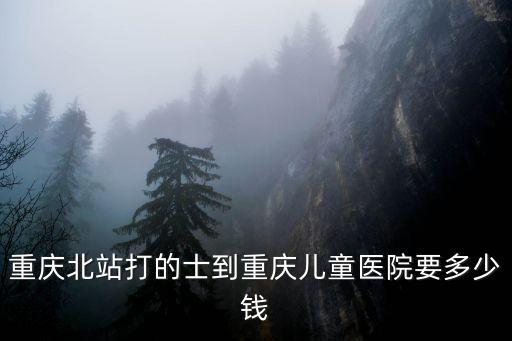 重慶北站打的士到重慶兒童醫(yī)院要多少錢