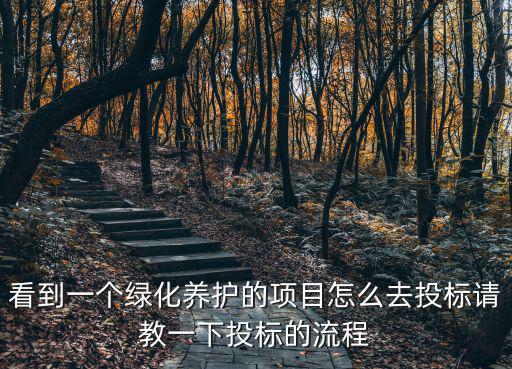 看到一個綠化養護的項目怎么去投標請教一下投標的流程