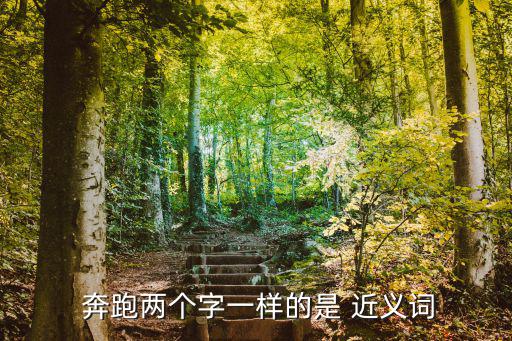  奔跑兩個字一樣的是 近義詞