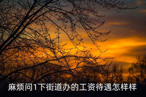 麻煩問1下街道辦的工資待遇怎樣樣