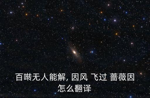 因風飛過薔薇,春回何處?無人知道答案