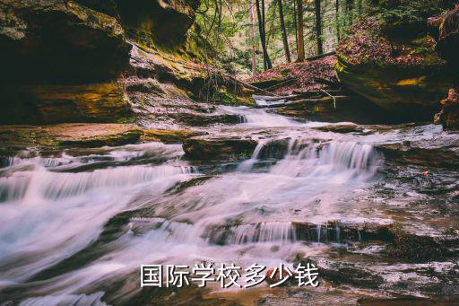 國際學校多少錢