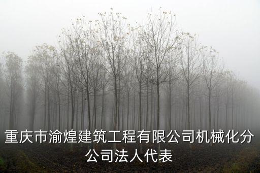 重慶市渝煌建筑工程有限公司機(jī)械化分公司法人代表