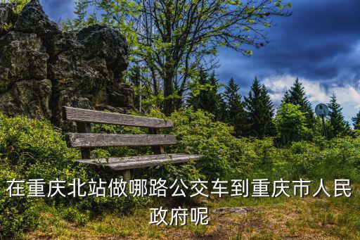 在重慶北站做哪路公交車到重慶市人民政府呢
