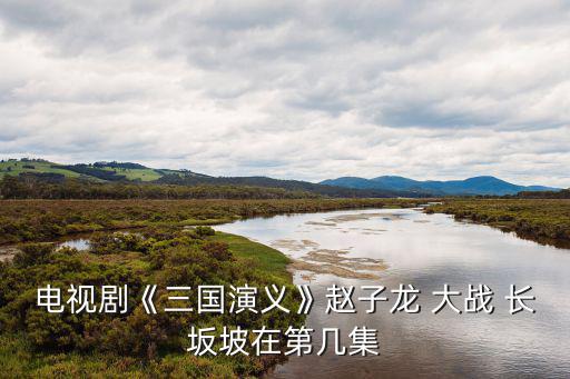 電視劇《三國演義》趙子龍 大戰 長坂坡在第幾集