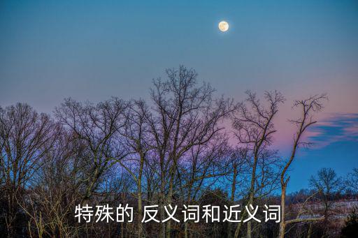 特殊的 反義詞和近義詞