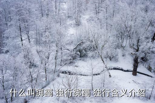 什么獨行,優(yōu)雅獨行的同義詞如下:無人陪伴