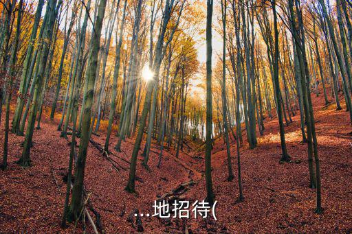 什么的廣場,北京天安門廣場一小部分廣場已被征用